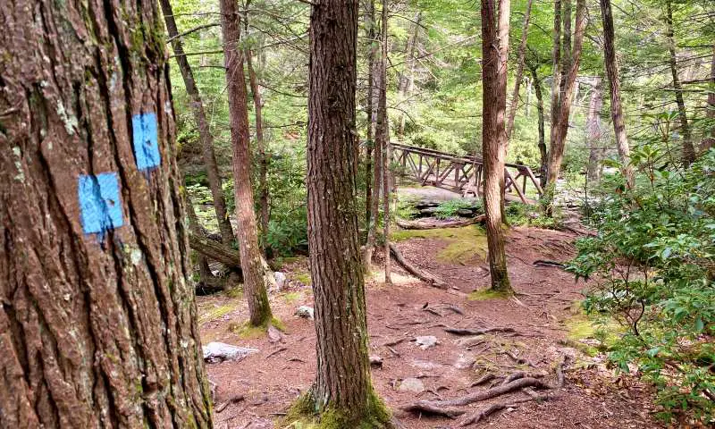 bridge over small creek and trees High Peterskill Trail Mohonk - Minnewaska Hudson Valley