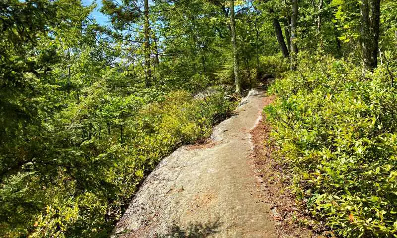 trail along top of rocks High Peterskill Trail Mohonk - Minnewaska Hudson Valley