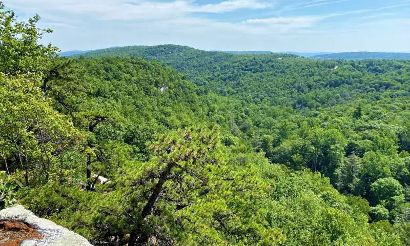 view of woods High Peterskill Trail Mohonk - Minnewaska Hudson Valley