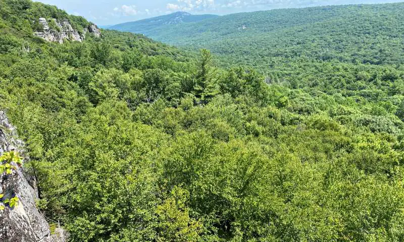 view of woods High Peterskill Trail Mohonk - Minnewaska Hudson Valley