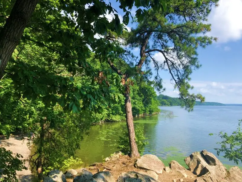 Black-Creek-Preserve-Trail-view-of-Hudson-River-and-beach-from-Pitch-Pine-Overlook