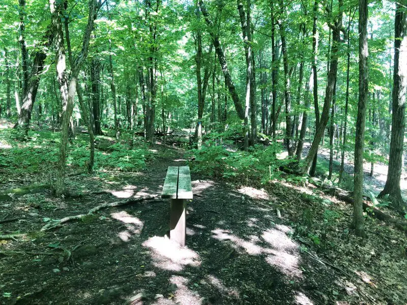 Bench-at-top-of-small-hill-after-leaving-the-river-on-the-Black-Creek-Preserve-Trail