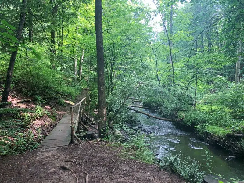 Black-Creek-Preserve-Trail-by-creek