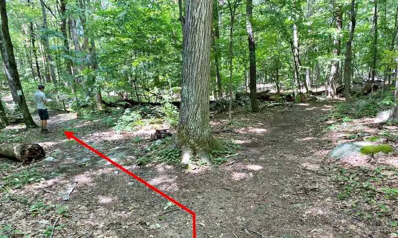 first-junction-with-unmarked-trail-to-the-left northeast trail