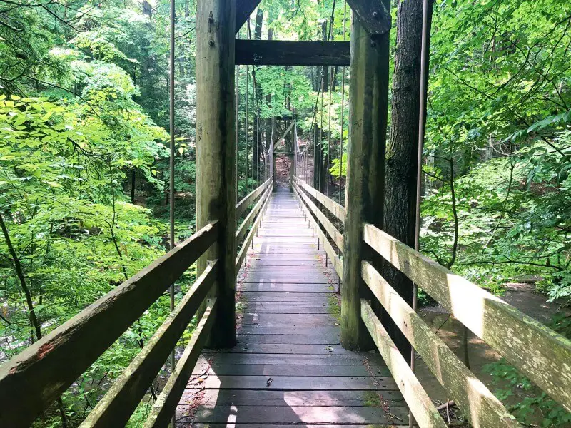 Black-Creek-Preserve-Trail-Suspension-Bridge