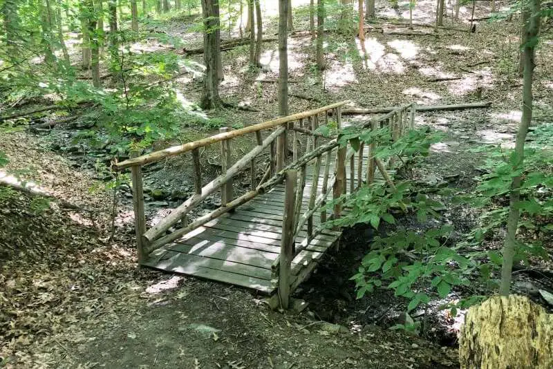 second-wooden-bridge-on-poets-walk-trail