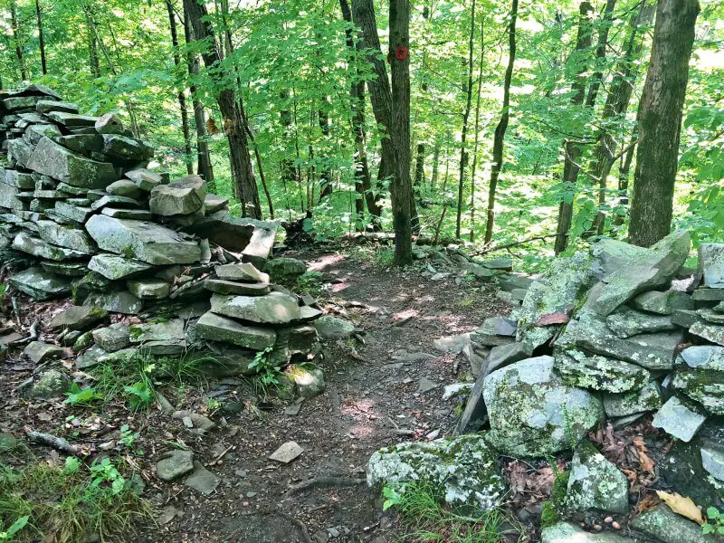 Black-Creek-Preserve-Red-Trail-rock-wall