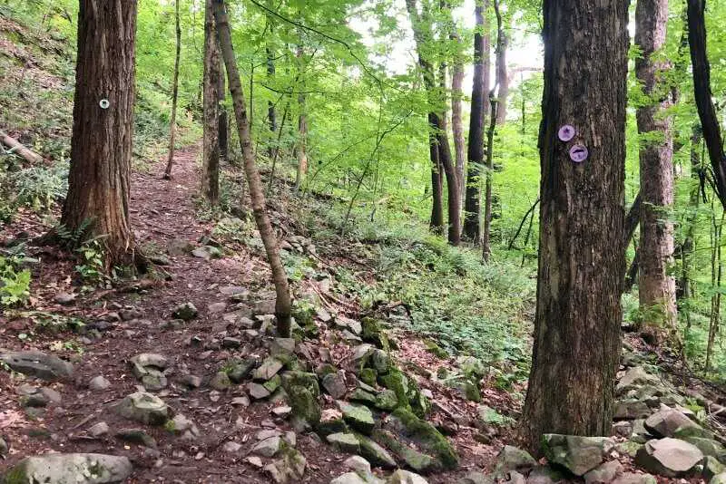start-of-purple-trail-to-waterfall-Shaupeneak-Ridge