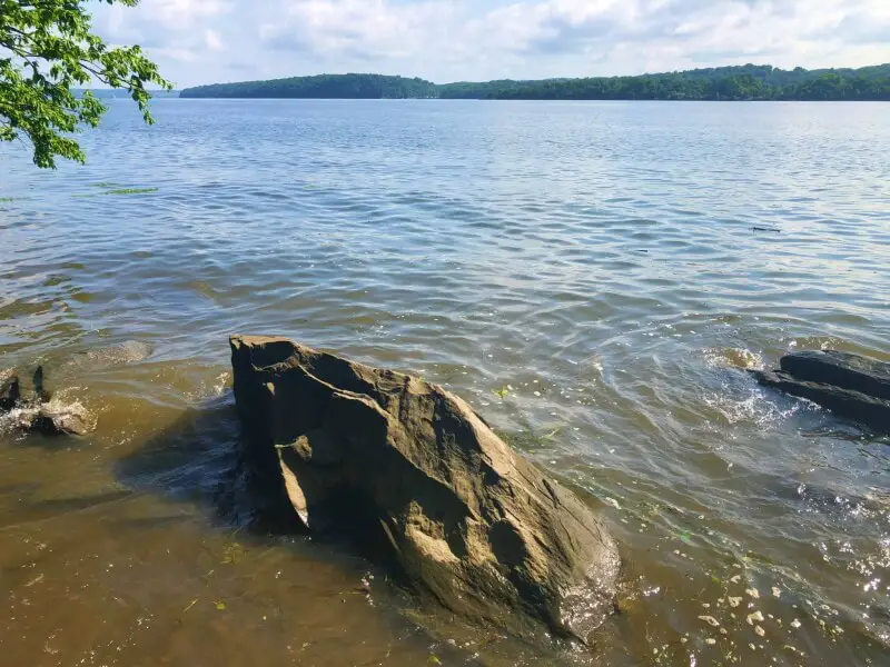 Black-Creek-Preserve-Trail-Hudson-River