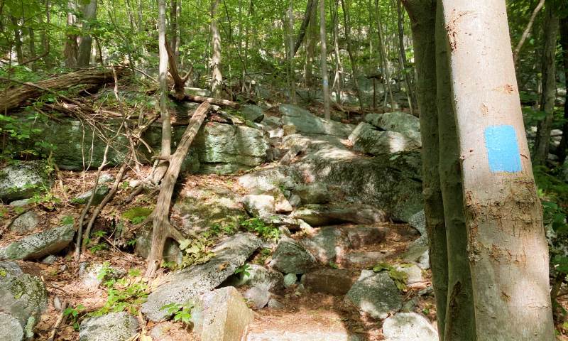 rock on steep trail High Peterskill Trail Mohonk - Minnewaska Hudson Valley