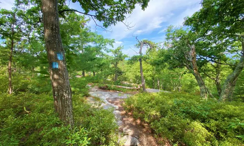 trail with rocks and trees High Peterskill Trail Mohonk - Minnewaska Hudson Valley