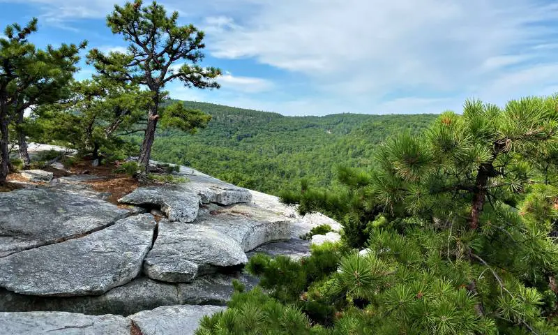 view of trees High Peterskill Trail Mohonk - Minnewaska Hudson Valley