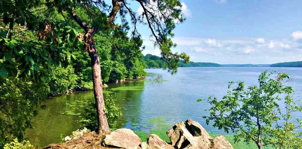 Hudson Valley river with trees and rock in foreground