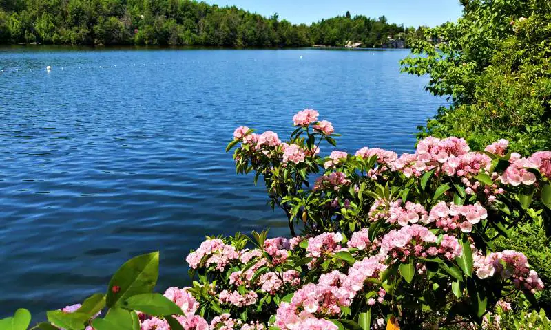 MInnewaska Lake Loop Spring