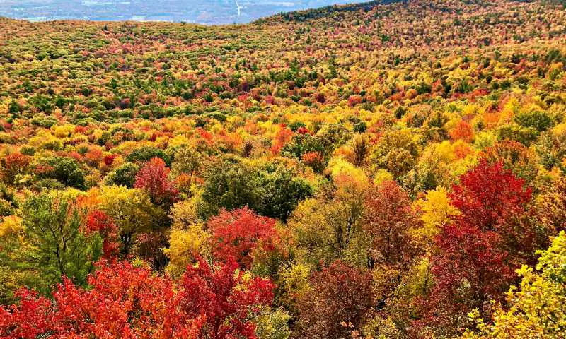 Minnewaska State Park Fall