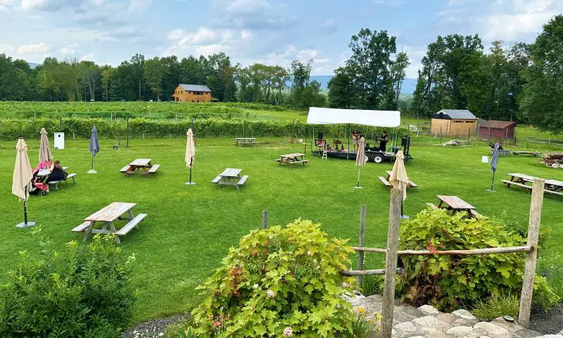 lawn with tables and vineyard in background at Pennings Vineyards